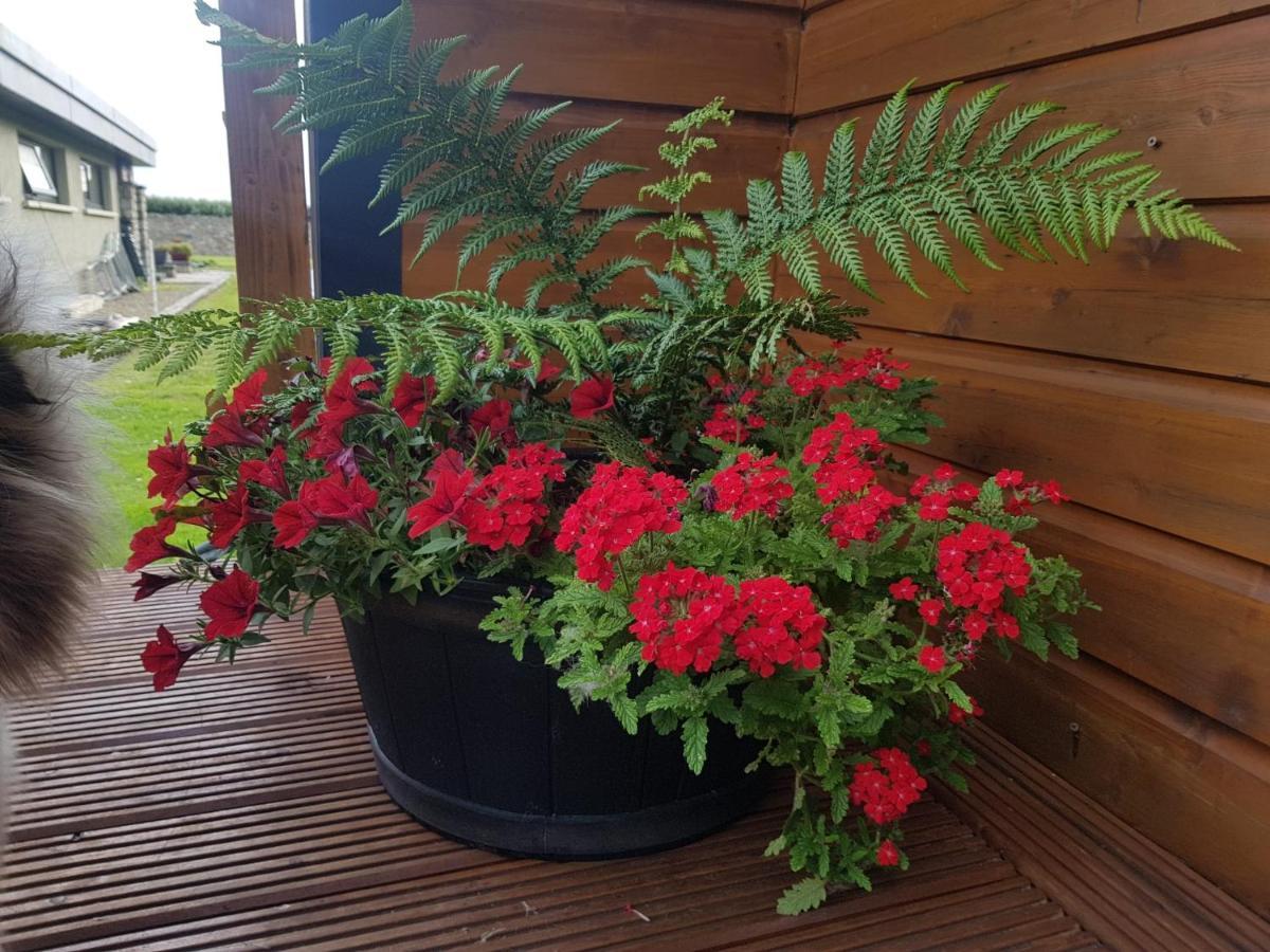 Glamorous Glamping Belmullet Eksteriør bilde