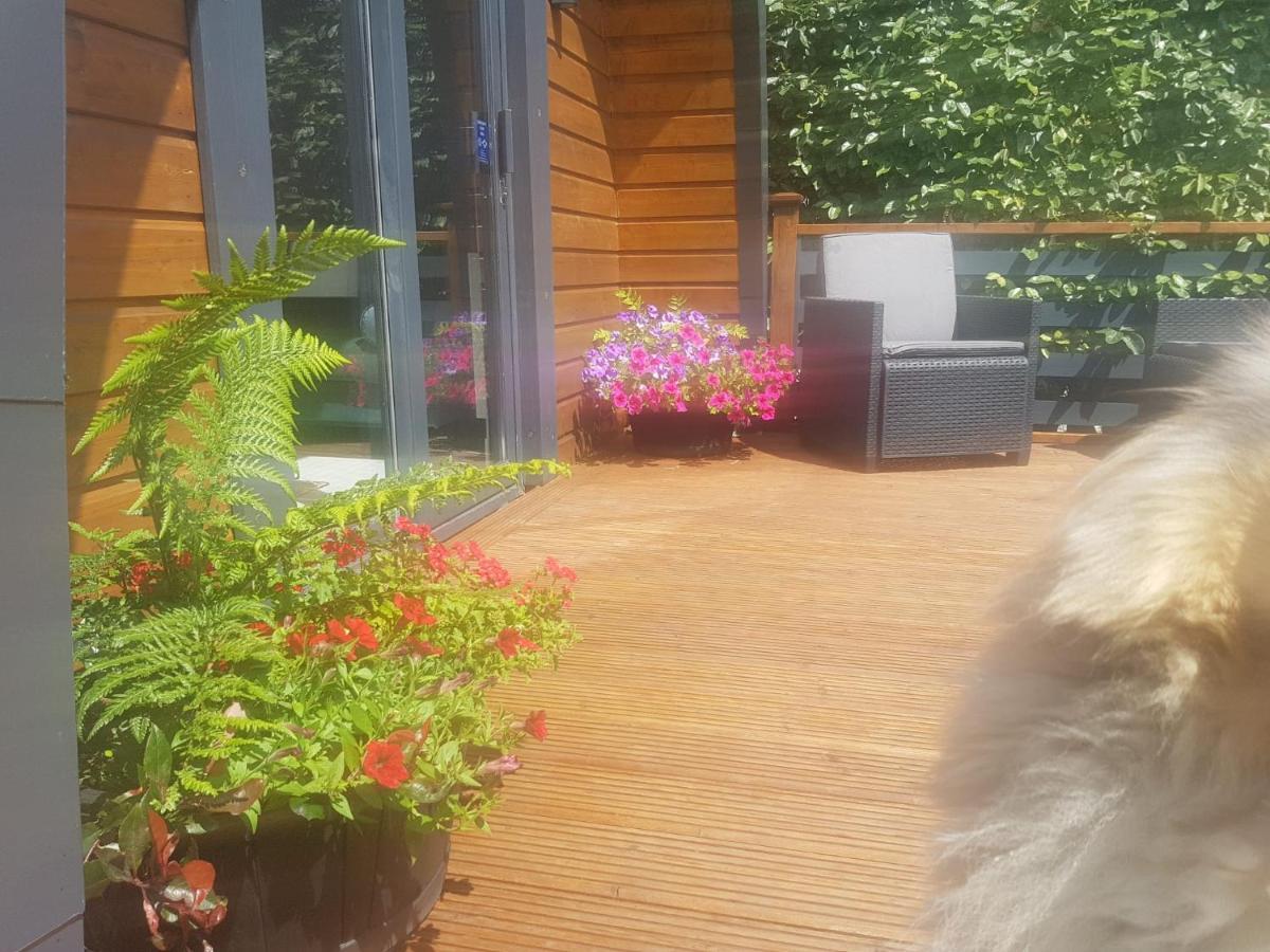 Glamorous Glamping Belmullet Eksteriør bilde